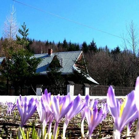 Goralska Czarcia Chata Pod Jalowcem Stryszawa Εξωτερικό φωτογραφία