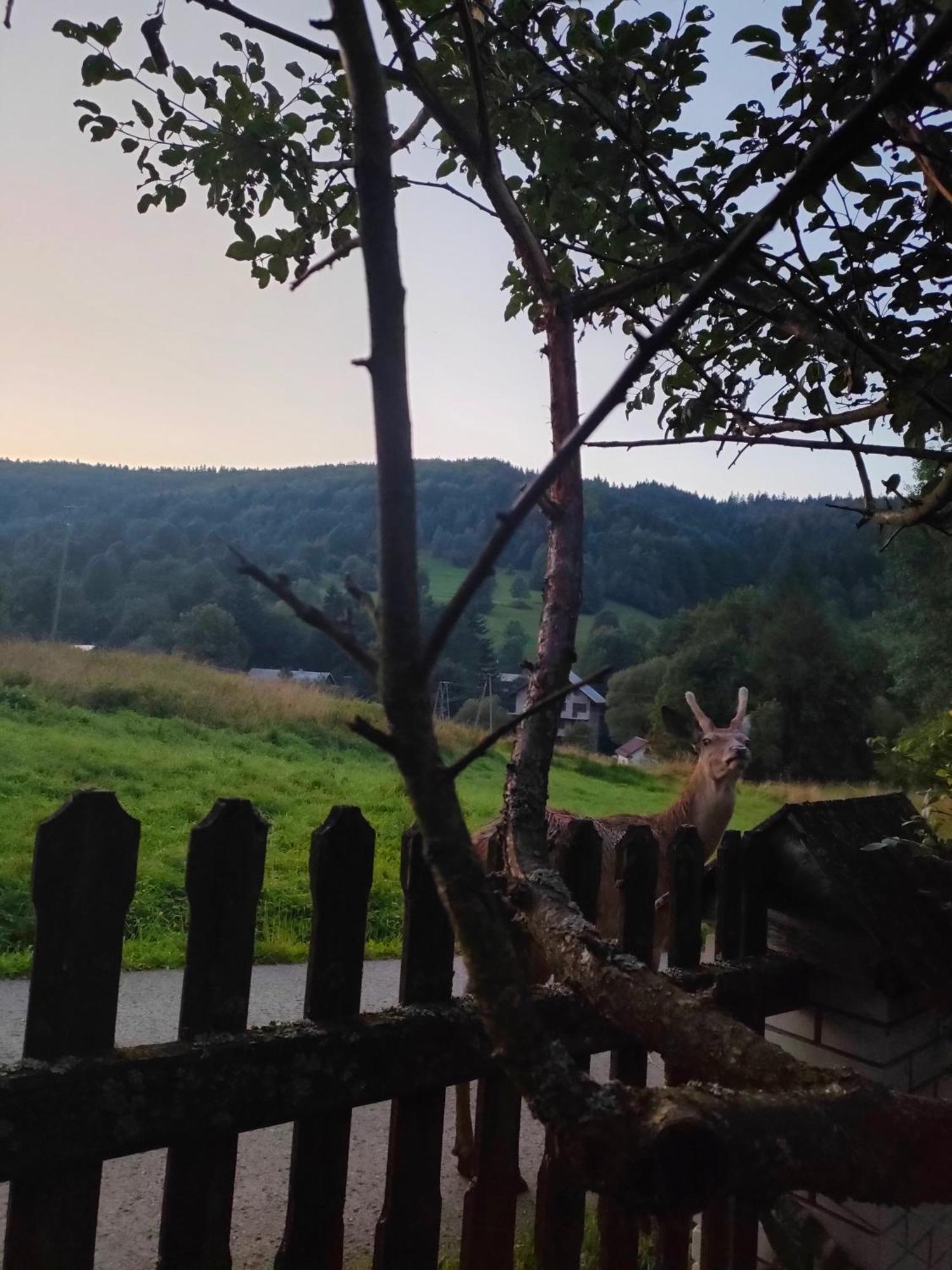 Goralska Czarcia Chata Pod Jalowcem Stryszawa Εξωτερικό φωτογραφία