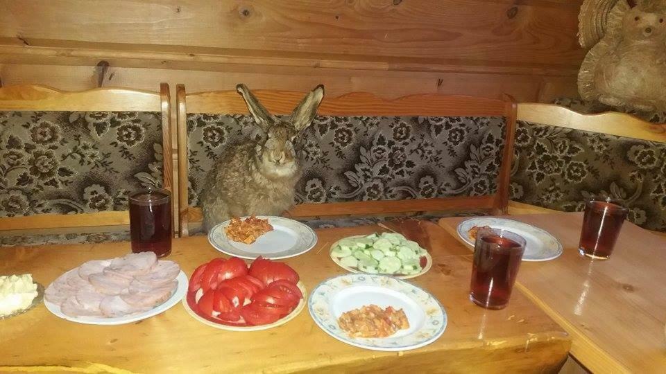 Goralska Czarcia Chata Pod Jalowcem Stryszawa Εξωτερικό φωτογραφία